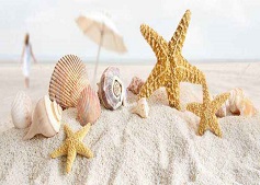 什么是贝壳粉生态涂料？