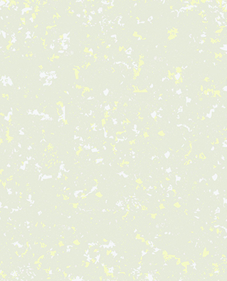 三色炫彩 YST-016